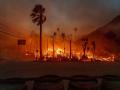 Los Angeles wildfires: 16 की मौत, 100000 बेघर, 12000 आशियाने खाक?, 135-150 अरब अमेरिकी डॉलर नुकसान, 10 प्वाइंट में समझिए - Hindi News | Los Angeles wildfires live updates 16 dead 100000 homeless 12000 houses destroyed Losses US$135 billion to US$150 billion Not Looking Good see video | Latest world News at Lokmatnews.in