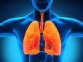 Omicron Coronavirus: फेफड़ों को स्वस्थ रखने के लिए अपनाएं ये 8 उपाय - Hindi News | Omicron Coronavirus These 8 measures to keep the lungs healthy | Latest health Photos at Lokmatnews.in
