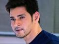 Happy Birthday Mahesh Babu: पहली मुलाकात में दे बैठे थे दिल, नम्रता शिरोडकर और महेश बाबू की लव स्टोरी जानकर रह जाएंगे हैरान - Hindi News | Happy Birthday Mahesh Babu: know the love story of Namrata Shirodkar and Mahesh Babu | Latest bollywood News at Lokmatnews.in