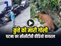 VIDEO: कुत्ते को मारी गोली, घटना का सीसीटीवी वीडियो वायरल, आरोपी गिरफ्तार... - Hindi News | Man Fires 5 Bullets at Stray Dog in bijnor video goes viral | Latest crime News at Lokmatnews.in