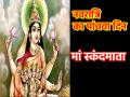 Navratri 2024 Day 5: नवरात्रि के 5वें दिन मां स्कंदमाता की होती है पूजा, जानें पूजन विधि, शुभ मुहूर्त और मंत्र - Hindi News | Shardiya Navratri 2024 Day 5 maa Skandmata is worshiped on the 5th day of Navratri know the worship method auspicious time and mantra | Latest spirituality News at Lokmatnews.in