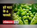 सर्दियों में ज्यादा से ज्यादा खाया कीजिए हरा मटर, मिलेगा अंदरूनी ताकत, रहेंगे फिट - Hindi News | Eat more and more green peas in winter, you will get inner strength and stay fit | Latest health Videos at Lokmatnews.in