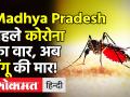 Madhya Pradesh: Indore में Coronavirus के बीच तेजी से बढ़ रहे Dengue के मरीज - Hindi News | | Latest india Videos at Lokmatnews.in
