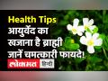 आयुर्वेद का खजाना है यह पौधा, इम्यून पावर बढ़ाने जैसे 6 गजब के फायदे - Hindi News | Health benefits of Brahmi | Latest health Videos at Lokmatnews.in