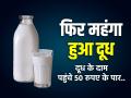 Milk Price Hike: अब बच्चे कैसे पियेंगे दूध!, हिमाचल में दूध के दाम पहुंचे 50 रुपए के पार.. - Hindi News | Milk Price Hike in Himachal Pradesh Rs 55 per litre cow buffalo milk new rate list | Latest business Photos at Lokmatnews.in