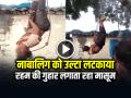 VIDEO: नाबालिग को उल्टा लटकाया, रहम की गुहार लगाता रहा मासूम, देखें वीडियो - Hindi News | Minor Boy Hanged on Tree, Boy keeps pleading for mercy, Watch Video | Latest crime News at Lokmatnews.in