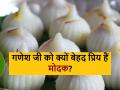 Ganesh Mohatsav 2024: गणेश जी को क्यों प्रिय हैं मोदक, जानें इससे जुड़ी रोचक कहानी - Hindi News | Ganesh Mohatsav 2024: Why is Modak dear to Ganesh ji, know the interesting story related to it | Latest spirituality News at Lokmatnews.in