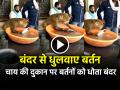 VIDEO: बंदर से धुलवाए बर्तन, चाय की दुकान पर बर्तनों को धोते बंदर का विडियो वायरल - Hindi News | Monkey Washing Utensils at a Tea Stall Video Goes Viral | Latest weird News at Lokmatnews.in