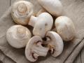 mushroom benefits: मशरूम की सब्जी के फायदे, सेहत का खजाना है मशरूम, 8 गंभीर रोगों से करती है बचाव - Hindi News | mushroom benefits:amazing health benefits of mushroom in Hindi, mushroom nutrition, how to make mushroom curry, recipe in Hindi | Latest health News at Lokmatnews.in