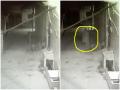वीडियो: रात के अंधेरे में अलीगढ़ की संकरी गली में दिखी रहस्यमय आकृति, लोगों का दावा- 'भूत' हुआ कैमरे में कैद - Hindi News | Mysterious figure seen narrow street of Aligarh in the dark of night people claim ghost caught on camera | Latest weird News at Lokmatnews.in