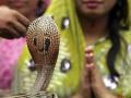 Nag Panchami 2020: स्त्रियां नाग को क्यों मानती हैं अपना भाई? पढ़ें नागपंचमी की सबसे प्राचीन लोकप्रिय कथा - Hindi News | Nag Panchami 2020: nag panchami lokpriya katha | Latest spirituality News at Lokmatnews.in