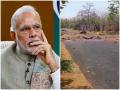 Gadchiroli Naxal Attack: पीएम नरेंद्र मोदी ने जवानों की शहादत को किया नमन, कहा- दोषियों को बख्शेंगे नहीं - Hindi News | Gadchiroli Naxal Attack: PM Narendra Modi condemns Violence, Perpetrators will not be spared | Latest india News at Lokmatnews.in