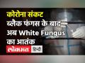 Bihar में Black Fungus से ज्यादा खतराक White Fungus आया सामने, जानें लक्षण और किसे है ज्यादा खतरा! - Hindi News | White Fungus Symptoms Causes and Treatment | Latest health Videos at Lokmatnews.in