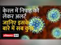 Nipah virus: क्या महामारी हो सकता है निपाह वायरस ?, जानें इंसान में कैसे फैलता है और बचने के उपाय - Hindi News | Nipah virus: Can Nipah virus be an epidemic?, know how it spreads in humans and ways to avoid it | Latest india Videos at Lokmatnews.in