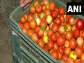 सरकार द्वारा जनता को बड़ी राहत! दिल्ली-NCR और पटना में सस्ते दाम पर बेचे जा रहे है टमाटर, जानें रेट - Hindi News | now buy rs 90 per kg tomatoes in delhi ncr patna NCCF and NAFED | Latest india News at Lokmatnews.in