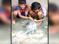ओडिशा में कैसे बच्चों ने बचाई एक सांप की जान, देखिए - Hindi News | Two children rescued and saved a life of a snake in Uthaninuagaon village in Mayurbhanj, Odisha | Latest india Videos at Lokmatnews.in