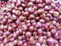 Onion Price: त्योहार में न हो दिक्कत?, आपको 35 रुपये प्रति किलोग्राम की दर से मिलेगा!, 840 टन बफर प्याज दिल्ली पहुंचा - Hindi News | Onion Price Second train 840 metric tonnes arrives in Delhi released in Azadpur Mandi retail for Rs 35 per kg Nashik to reach Guwahati | Latest business News at Lokmatnews.in