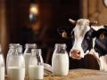 ब्लॉग: जैविक दूध से पूरी हो सकेगी दुग्ध उत्पादन की कमी - Hindi News | Shortage of Milk production will be recover from Organic Milk | Latest business News at Lokmatnews.in