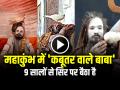 VIDEO: महाकुंभ में 'कबूतर वाले बाबा', 9 सालों से सिर पर बैठा है पक्षी, देखें वीडियो - Hindi News | Pigeon Baba Viral in Maha Kumbh 2025 Bird Sitting on his head for 9 years see video | Latest weird News at Lokmatnews.in