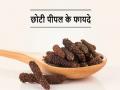 Benefits Of Pippali: आयुर्वेद में 'पिप्पली' को गुणों का खजाना कहते हैं, कई रोगों में करती है रामबाण इलाज, जानिए यहां - Hindi News | Benefits Of Pippali: In Ayurveda, 'Pippali' is called a treasure of qualities, it provides panacea for many diseases | Latest health News at Lokmatnews.in