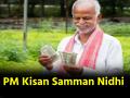 PM Kisan Yojana: क्या दीवाली से पहले आएगी पीएम किसान की 21वीं किस्त? इन किसानों को नहीं मिलेगा पैसा, जानिए क्यों - Hindi News | PM Kisan Yojana Will the 21st installment of PM Kisan Yojana arrive before Diwali These farmers will not receive money find out why | Latest india News at Lokmatnews.in