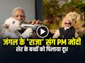 VIDEO: शेर के बच्चों को PM मोदी ने बोतल से पिलाया दूध, देखें वीडियो - Hindi News | PM Modi Fed Milk to Lion Cubs from a Bottle at Vantara in jamnagar Watch the Video | Latest weird News at Lokmatnews.in