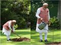 World Environment Day: विश्व पर्यावरण दिवस के अवसर पर पीएम मोदी ने अपने आवास पर लगाया सिंदूर का पौधा | Watch - Hindi News | PM Modi plants Sindoor saplings at his residence on the occasion of World Environment Day | Latest india News at Lokmatnews.in