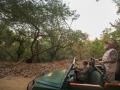 PM Modi Lion Safari Gir: गुजरात में जंगल सफारी का आनंद, एक्स पर शेयर किया तस्वीरें - Hindi News | Watch PM Modi narendra Lion Safari At Gujarat's Gir On World Wildlife Day see pice | Latest india Photos at Lokmatnews.in