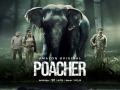 Poacher: आलिया भट्ट की 'पोचर' का ट्रेलर रिलीज, हाथी को मारने की सच्ची घटना पर आधारित होगी सीरीज - Hindi News | Poacher Official Trailer Out Prime Video India A story of one of the biggest crime rackets in India! | Latest bollywood Photos at Lokmatnews.in