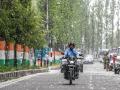 Jammu-Kashmir: कश्‍मीर में नई समस्‍या, मादा पापुलर पेड़ों से निकलने वाले बीज वाले रेशे बीमारियों को दे रहे न्‍यौता - Hindi News | A new problem in Kashmir Seed fibers from female poplar trees are inviting disease | Latest india News at Lokmatnews.in