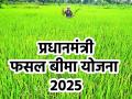 Fasal Bima Yojana 2025: किसानों के लिए जरूरी सूचना! 31 जुलाई से पहले करा ले फसल बीमा, जानें आवेदन करने का तरीका और डिटेल्स - Hindi News | Pradhan Mantri Fasal Bima Yojana 2025 Get crop insurance done before 31st July know how to apply for PMFBY and details | Latest india News at Lokmatnews.in