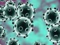 Coronavirus: सात साल पहले ही कोरोना वायरस को लेकर इस शख्स ने की थी भविष्वाणी, पोस्ट वायरल - Hindi News | Seven years ago, this man predicted about Coronavirus post goes viral | Latest weird News at Lokmatnews.in