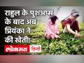 चुनाव के लिए Assam में जी जान लगा रहीं Priyanka Gandhi, पीठ पर टोकरी लाद तोड़ीं चाय की पत्तियां! - Hindi News | Priyanka Gandhi Wadra Assam Tea Video | Latest politics Videos at Lokmatnews.in
