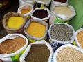 World Pulses Day 2026: दलहन उत्पादन के लिए कीट नियंत्रण जरूरी - Hindi News | pulse production Pest control essential India needs better World Pulses Day is celebrated every year 10 February blog Satish Parsai | Latest business News at Lokmatnews.in