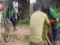 VIDEO: विशालकाय अजगर को पकड़ने की कोशिश कर रहा था शख्स, सांप ने सीधे गाल पर काटा, 40 सेकंड से ज़्यादा समय तक लिपटा रहा - Hindi News | Giant Python Bites Man's Cheek, Latches On For Over 40 Seconds; Rescued After Long Struggle | Latest weird News at Lokmatnews.in