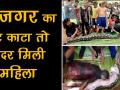 देखिए, इंडोनेशिया में कैसे अजगर ने बूढ़ी औरत को निगला - Hindi News | Warning Graphic Content: An Old Lady Eaten By Python Snake in Indonesia | Latest world Videos at Lokmatnews.in