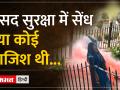 Lok Sabha Security Breach: संसद की सुरक्षा में बड़ी चूक,जानिए अब तक क्या क्या हुआ - Hindi News | Lok Sabha Security Breach: Big lapse in the security of Parliament, know what has happened till now | Latest india Videos at Lokmatnews.in
