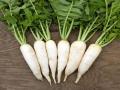 बवासीर (Hemorrhoids) से छुटकारा पाने के लिए ऐसे खाएं मूली - Hindi News | how to use radish for piles | Latest health News at Lokmatnews.in