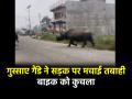 Rhino Attack Video: गैंडे ने सड़क पर मचाया आतंक, बाइक सवार पर किया हमला; जान बचाकर भागे लोग - Hindi News | Rhino Attack Video on Urban Streets road people ran away | Latest weird News at Lokmatnews.in