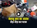 VIDEO: बेकाबू सांड का आतंक, लाल शर्ट देख भड़क उठा, देखें वायरल वीडियो - Hindi News | Saand Ke Hamle Ka Video Bull Atack Video goes viral on social media | Latest weird News at Lokmatnews.in