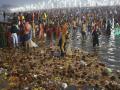 Maha Kumbh: संगम के पानी में फेकल बैक्टीरिया का उच्च स्तर, स्वास्थ्य के लिए कितना जोखिम? - Hindi News | Maha Kumbh: High level of fecal bacteria in Sangam water, how much risk to health? | Latest india News at Lokmatnews.in