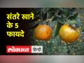 हर रोज 1 संतरा खाने से कैंसर जैसी बड़ी बीमारी के होने का खतरा होता है कम - Hindi News | Eating 1 orange every day reduces the risk of major diseases like cancer | Latest health Videos at Lokmatnews.in