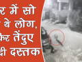 वीडियो: घर में सो रहे थे लोग तभी तेंदुए ने दी दस्तक - Hindi News | | Latest weird Videos at Lokmatnews.in