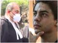 बॉम्बे हाईकोर्ट में आर्यन खान के वकील ने क्या दलीलें पेश कीं जिससे उन्हें जमानत मिल गई? - Hindi News | what arguments did aryan khan lawyer mukul rohatgi present in the bombay high court that got him bail | Latest crime News at Lokmatnews.in