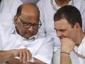 हरीश गुप्ता का ब्लॉग: पवार-राहुल के बीच नहीं हुई कोई गुप्त बैठक - Hindi News | Harish Gupta's blog: no secret meeting between Sharad Pawar and Rahul Gandhi | Latest politics News at Lokmatnews.in