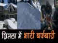 शिमला में भारी बर्फबारी, सैलानियों ने जमकर की मस्ती - Hindi News | Heavy snowfall intensifies cold wave condition in Shimla | Latest travel Videos at Lokmatnews.in