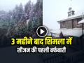 Shimla Snowfall: 3 महीने बाद शिमला में सीजन की पहली बर्फबारी, पर्यटक खुश - Hindi News | Shimla-Snowfall-Today-first-snow-of-season-video-viral | Latest india News at Lokmatnews.in