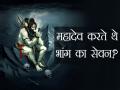 क्या वाकई भगवान शिव 'भांग' का सेवन करते थे? जानें पूजा में इसका महत्व - Hindi News | Maha Shivratri 2018 Why Lord Shiva drinks bhang and its importance in shiv puja | Latest spirituality News at Lokmatnews.in
