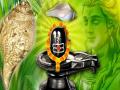 Sawan 2020: शिवलिंग पर शंख से नहीं चढ़ाते हैं जल, जानें क्यों ? - Hindi News | Sawan 2020: Shivling par shankh se nahi chadhate jal janiye kyun | Latest spirituality News at Lokmatnews.in