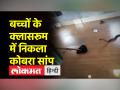 स्कूल में निकला कोबरा सांप , फिर जो हुआ उसे देख उड़ जाएंगे होश - Hindi News | Cobra snake came out in school, then the senses will fly away after seeing what happened | Latest weird Videos at Lokmatnews.in